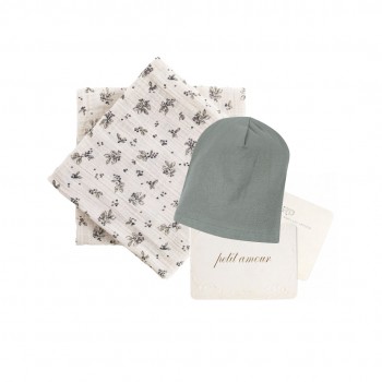 Pack swaddle and beanie...